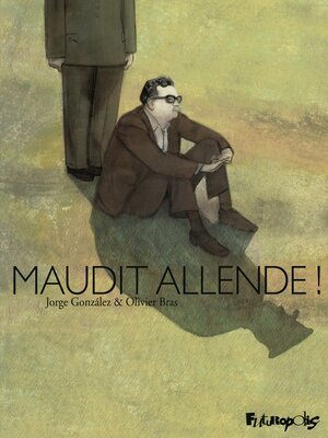 cover image of Maudit Allende !